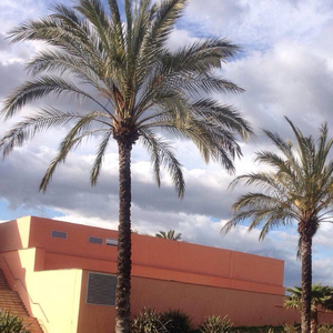 精品中文人妻少妇
